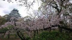 �摜(240x135)�E�g��摜(640x360)