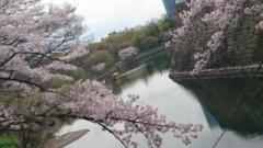 �摜(240x135)�E�g��摜(640x360)