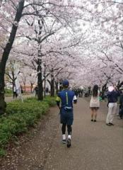 �摜(174x240)�E�g��摜(464x640)