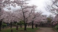 �摜(240x135)�E�g��摜(640x360)