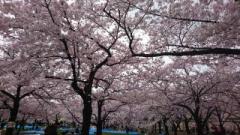 �摜(240x135)�E�g��摜(640x360)