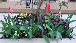 �摜(320x180)�E�g��摜(640x360)