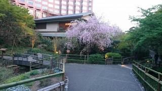 �摜(320x180)�E�g��摜(640x360)