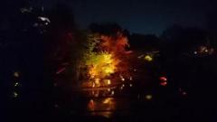 �摜(240x135)�E�g��摜(640x360)