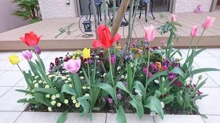 �摜(320x180)�E�g��摜(640x360)