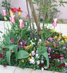 �摜(219x240)�E�g��摜(439x480)