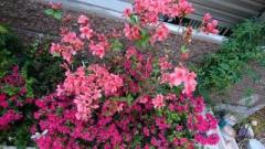 �摜(240x135)�E�g��摜(640x360)