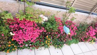 �摜(320x180)�E�g��摜(640x360)