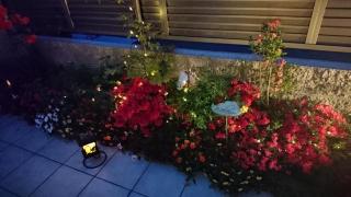 �摜(320x180)�E�g��摜(640x360)