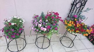 �摜(320x180)�E�g��摜(640x360)