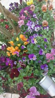 �摜(180x320)�E�g��摜(360x640)