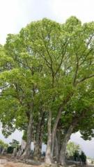 �摜(135x240)�E�g��摜(360x640)