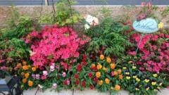 �摜(240x135)�E�g��摜(640x360)