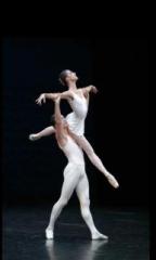 �摜(144x240)�E�g��摜(351x579)