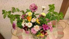 �摜(240x135)�E�g��摜(640x360)