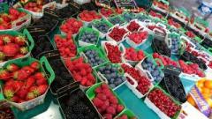 �摜(240x135)�E�g��摜(640x360)