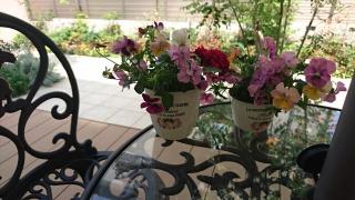 �摜(320x180)�E�g��摜(640x360)