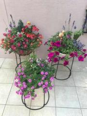 �摜(180x240)�E�g��摜(480x640)