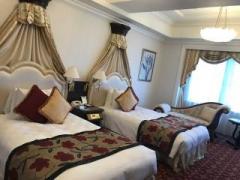 画像(240x180)・拡大画像(640x480)