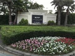 画像(240x180)・拡大画像(640x480)