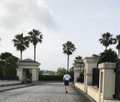 画像(240x204)・拡大画像(425x363)