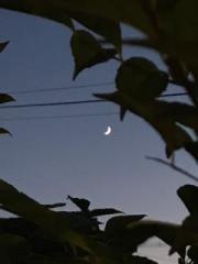 画像(180x240)・拡大画像(360x480)