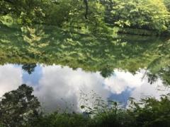 �摜(240x180)�E�g��摜(480x360)