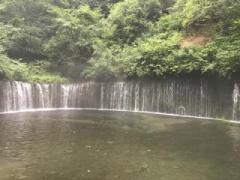 �摜(240x180)�E�g��摜(480x360)