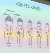 �摜(171x180)�E�g��摜(456x480)