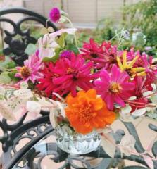 画像(223x240)・拡大画像(597x640)