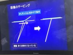 画像(240x180)・拡大画像(480x360)