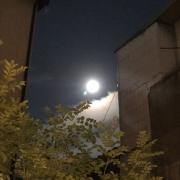 �摜(180x180)�E�g��摜(480x480)