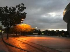 �摜(240x180)�E�g��摜(480x360)