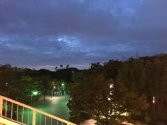 画像(240x180)・拡大画像(480x360)