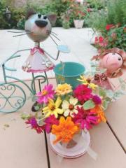 画像(180x240)・拡大画像(480x640)