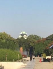 �摜(186x240)�E�g��摜(372x480)