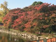 �摜(180x135)�E�g��摜(480x360)