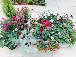 �摜(320x240)�E�g��摜(640x480)