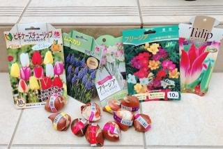 �摜(320x214)�E�g��摜(640x429)