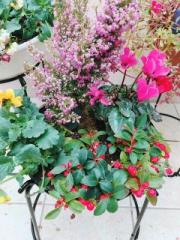 �摜(180x240)�E�g��摜(480x640)