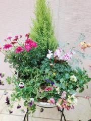 �摜(180x240)�E�g��摜(480x640)