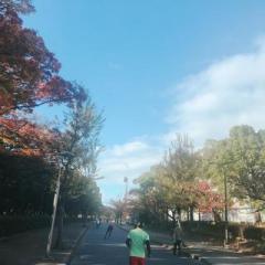 �摜(240x240)�E�g��摜(640x640)