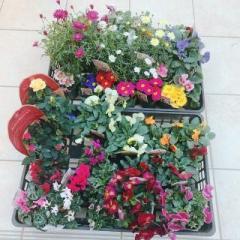 �摜(240x240)�E�g��摜(640x640)