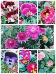 �摜(180x240)�E�g��摜(360x480)