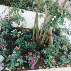 �摜(240x240)�E�g��摜(480x480)