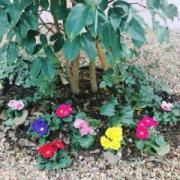 �摜(180x180)�E�g��摜(480x480)