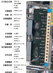 �摜(175x240)�E�g��摜(351x480)