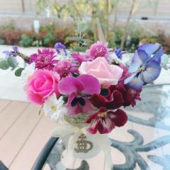 画像(240x240)・拡大画像(480x480)