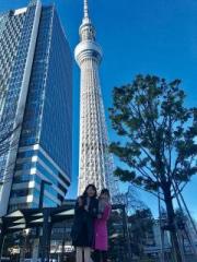 画像(180x240)・拡大画像(480x640)