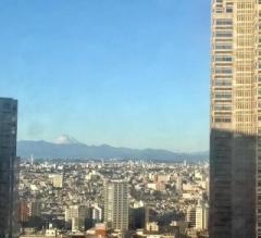 画像(240x219)・拡大画像(640x586)